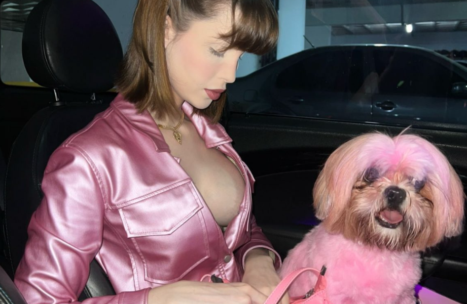 Influencer Faces Backlash for Dyeing Dog Pink to Match Her Outfit